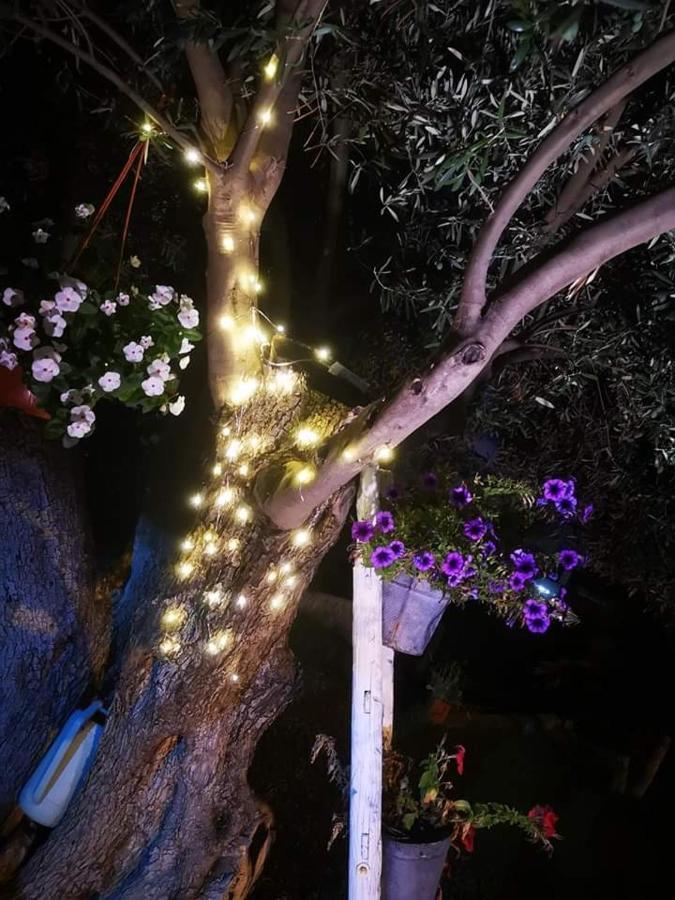 Beb Oasi Marina Couette-café 2*